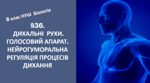 Презентація  до уроку  «§36. Дихальні рухи.Голосовий апарат. Нейрогуморальна регуляція процесів дихання» 8клас НУШ