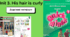 English Lessons — Grade 3 (Quick Minds) unit 3. His hair is curly