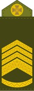 09007qmf-9085-69x186.png