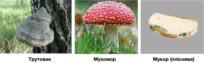 09007rgq-df31-676x210.png