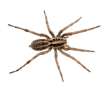 09007rvm-36cd-375x315.png
