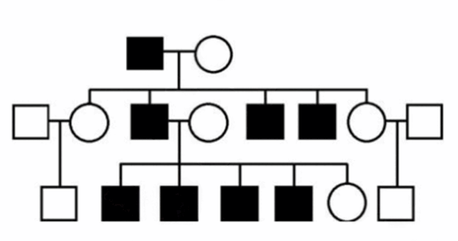 09007rvy-78ab-665x351.png