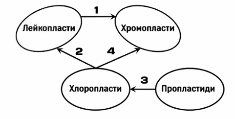 09007rzz-f275-481x243.png