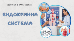 Ендокринна система. 8 клас НУШ