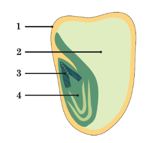 09007sno-75ac-325x284.png