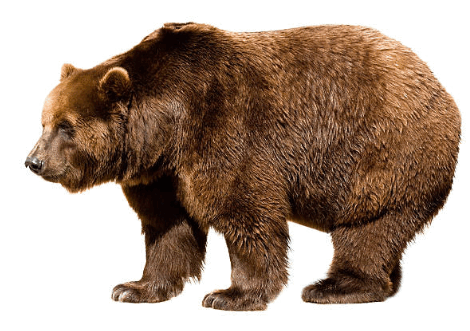 09007sps-8d10-470x331.png