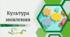 Культура мовлення