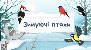 Заняття з розвитку мовлення. Тема "Зимуючі птахи"