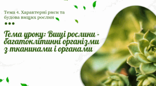 Презентація "Вищі рослини - багатоклітинні організми з тканинами і органами"