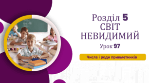 «Числа і роди прикметників»