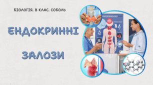 8 клас НУШ. Ендокринні залози 