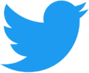 090081wf-726e-512x421.png
