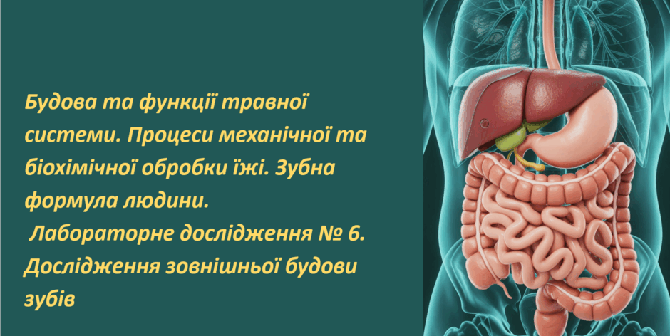 0900824m-a0af-940x472.png