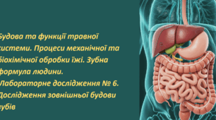 Будова та функції травної системи. Процеси механічної та біохімічної обробки їжі. Зубна формула людини.  Лабораторне дослідження № 6. Дослідження зовнішньої будови зубів