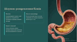 Роль ферментів у процесах перетравлення їжі. Всмоктування поживних речовин