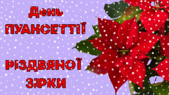 090084g6-944b-333x188.png