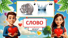 090085wx-c80a-231x130.png