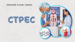 Стрес. 8 клас НУШ