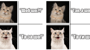 МОНа!? Правда про культуру школи