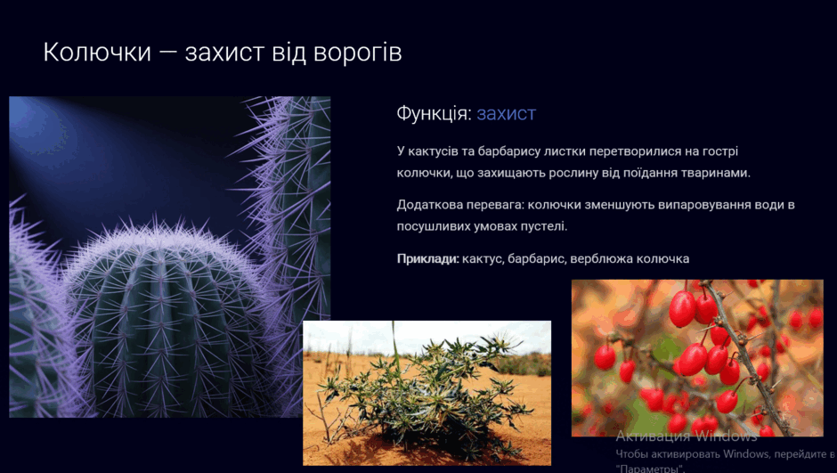 09008adl-1692-940x531.png