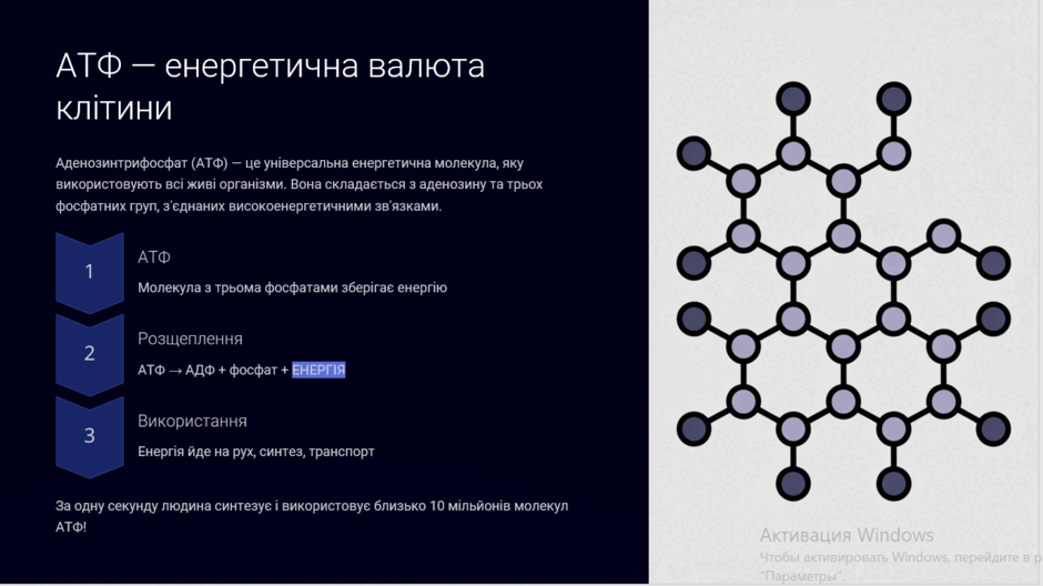 09008arr-14a3-940x528.png