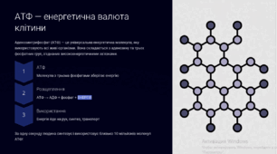 Обмін речовин та енергії в клітині