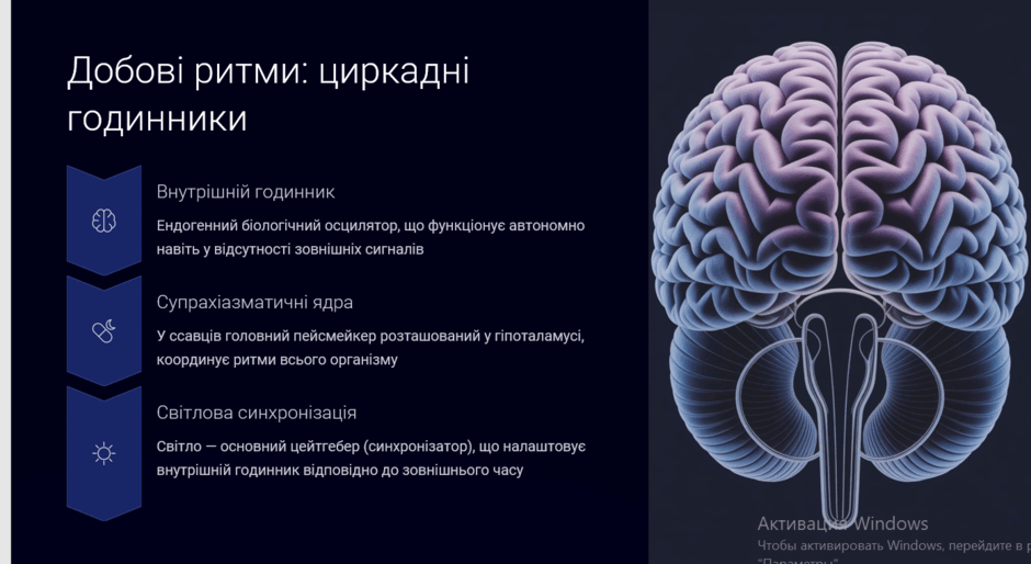 09008ats-73ca-940x514.png
