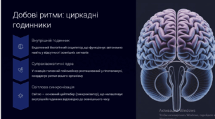 Адаптивні біологічні ритми: від клітин до екосистем