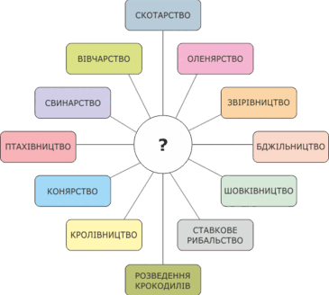 09008bk5-3d76-365x328.png