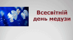 Всесвітній день медузи