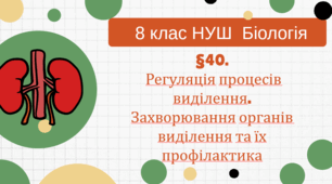 Презентація  до уроку  «§40.Регуляція процесів виділення. Захворювання органів виділення та їх профілактика» 8клас НУШ