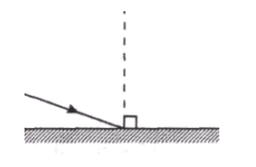 09008iuc-d376-230x150.png
