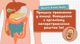 Процеси травлення у кишці. Виведення з організму неперетравлених решток їжі. 8 клас НУШ