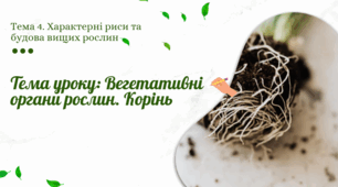 Презентація "Вегетативні органи рослин. Корінь"