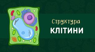 Робочий аркуш про структуру клітини