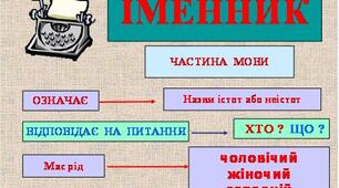 Іменник. Назви істот, неістот. Власні і загальні назви.