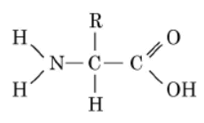 09008mdj-4109-204x123.png