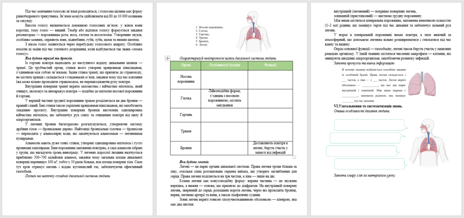 09008mlw-703a-940x442.png