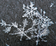 09008mxa-85b2-171x142.png