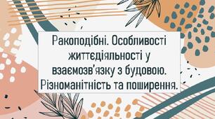 Ракоподібні. Особливості життєдіяльності у взаємозв’язку з будовою. Різноманітність та поширення.