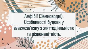 Амфібії (Земноводні). Особливості будови у взаємозв’язку з життєдіяльністю та різноманітність.