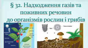 § 32. Надходження газів та поживних речовин до організмів рослин і грибів