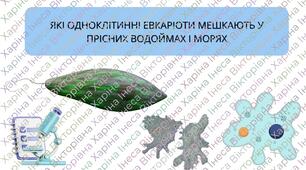 Презентація на тему: "Які одноклітинні евкаріоти мешкають у прісних водоймах і морях" біологія 7 клас НУШ