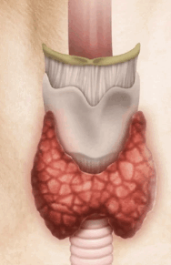 09008o2s-ca22-188x291.png