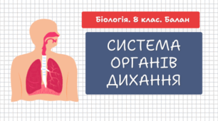 8 клас НУШ.Система органів дихання