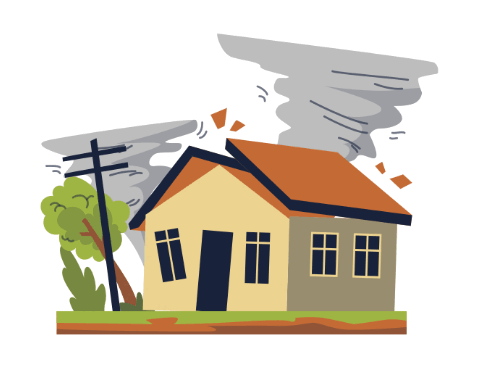 09008p9z-c206-481x374.png