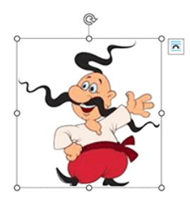 09008phm-9b46-269x283.png
