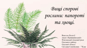 Вищі спорові рослини: папороті та хвощі.