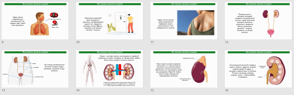 09008r06-298e-940x305.png