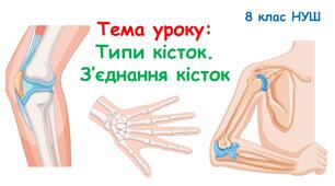 Презентація з біології 8 клас НУШ: Типи кісток. З’єднання кісток.